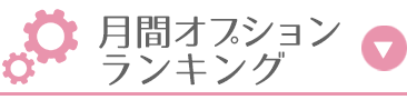 月間オプションランキング